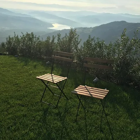 فيلة Vista Zamask