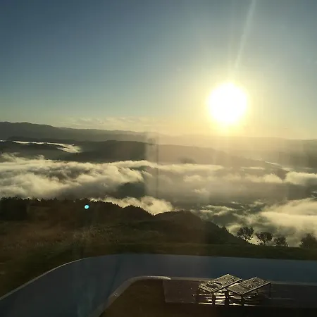 Vista