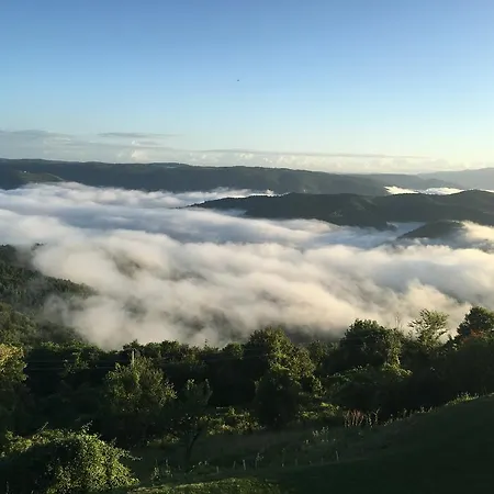 Vista