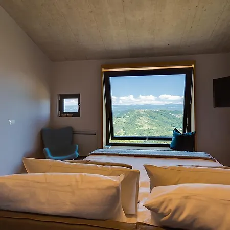 Vista